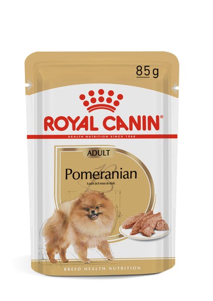 Ração Pomeranian Úmido Adult Royal Canin