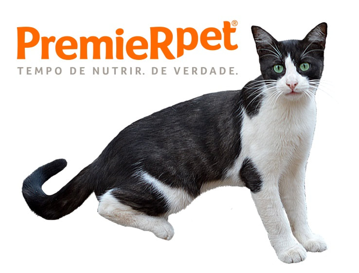 PremieRpet Rações para Gatos