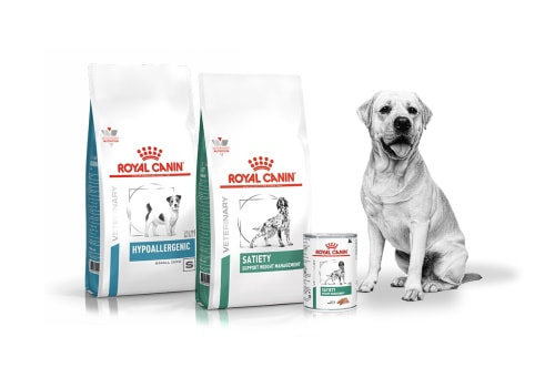 Alimentos Veterinários Cães Royal Canin