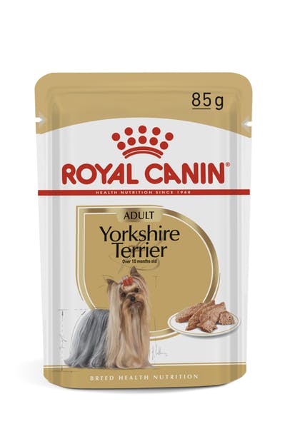 Yorkshire Terrier Alimento úmido